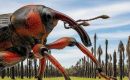 El Rhynchophorus ferrugineus es originario de Asia y no se ha encontrado en ningún otro lugar de Sudamérica