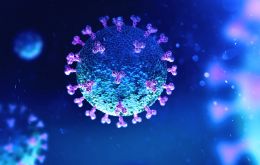 Se cree que la variante Stratus (o Frankenstein) representa el 36% de las infecciones recientes