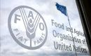 Brasil regresó al Mapa del Hambre de la FAO en el período 2018-2020