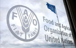 Brasil regresó al Mapa del Hambre de la FAO en el período 2018-2020