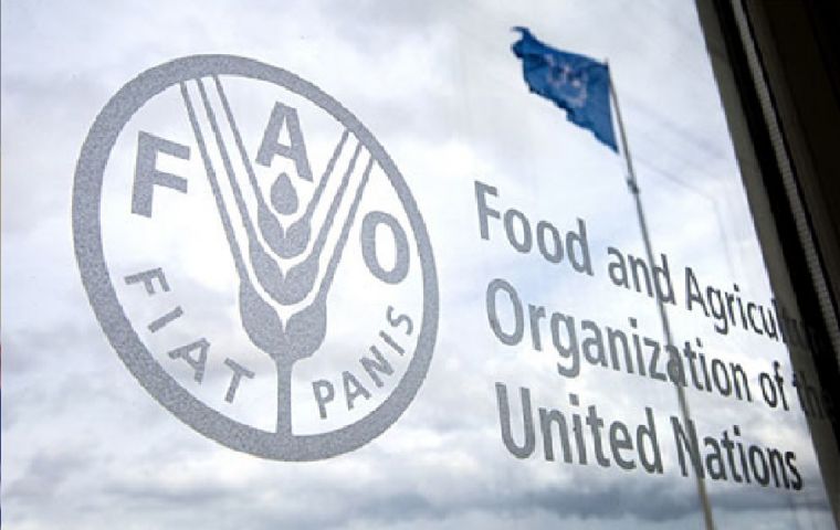 Brasil regresó al Mapa del Hambre de la FAO en el período 2018-2020
