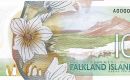 Un símil de un billete nuevo ilustrado con la flor nacional de las Falklands, “pale Maiden” 