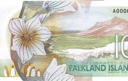 Un símil de un billete nuevo ilustrado con la flor nacional de las Falklands, “pale Maiden” 