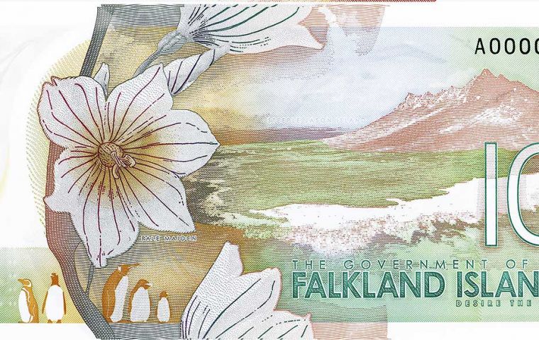 Un símil de un billete nuevo ilustrado con la flor nacional de las Falklands, “pale Maiden” 