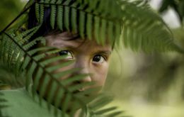 Según el Ministerio de Salud, se registraron 94 muertes violentas de niños y adolescentes indígenas en la Amazonía Legal en el periodo 2021-2023