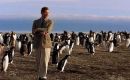 El Rey, entonces Príncipe de Gales cuando visitara en 1999 una colonia de pingüinos en las Falklands  