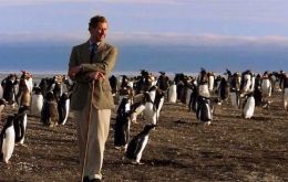 El Rey, entonces Príncipe de Gales cuando visitara en 1999 una colonia de pingüinos en las Falklands  