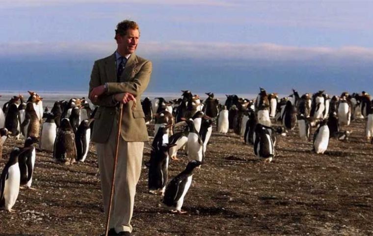 El Rey, entonces Príncipe de Gales cuando visitara en 1999 una colonia de pingüinos en las Falklands  