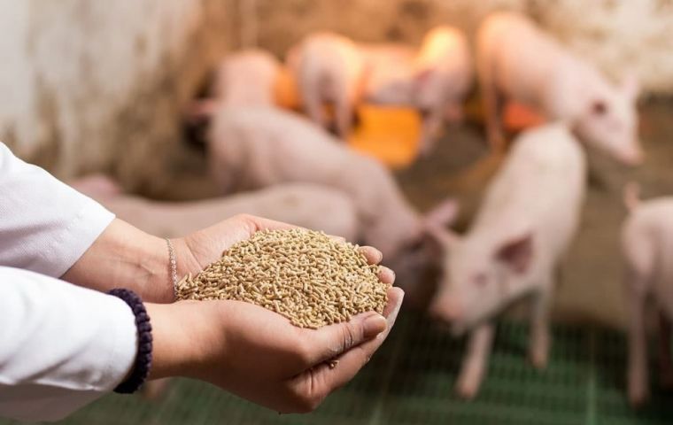 Estos productos se utilizan para producir piensos
