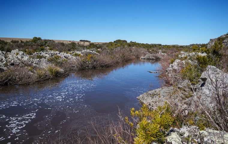 Sergio D&iacute;az-Granados, del CAF, elogi&oacute; la estabilidad de Uruguay
