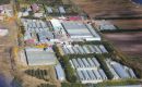 Otro asunto a tratar es el desempeño a futuro de Stanley Growers, el complejo de invernáculos y producción comercial de legumbres y frutas frescas en las Islas
