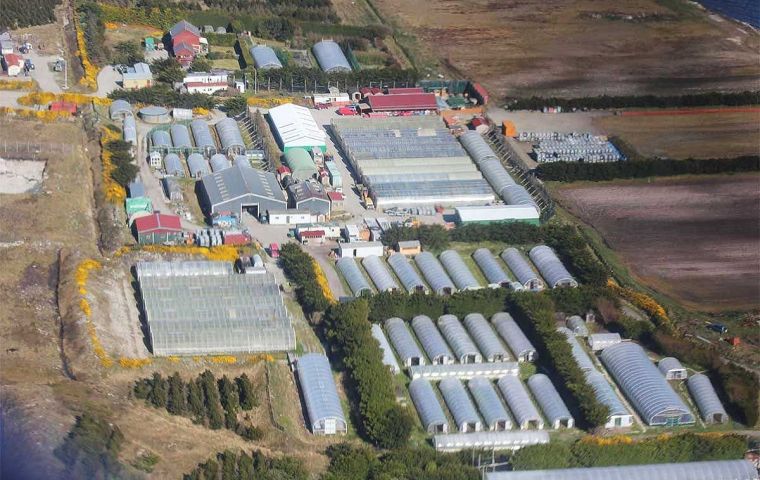 Otro asunto a tratar es el desempeño a futuro de Stanley Growers, el complejo de invernáculos y producción comercial de legumbres y frutas frescas en las Islas