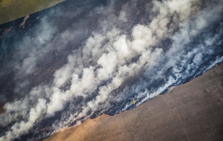Un incendio forestal durante la sequía de 2023 es combatido por un avión fumigador en Rocha, al este de Uruguay. Foto: Sebastián Astorga Rostani.