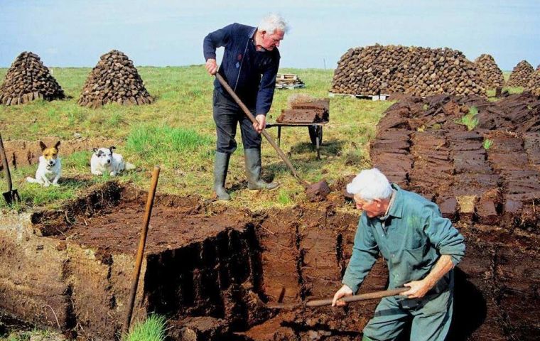 La tradicional tarea de cortar cubos de turba que se utilizaban como combustible para calefaccionar y cocinar