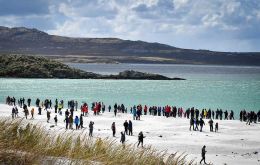 Vista de Yorke Bay, e invasión de humanos cuando se declaró la zona libre de minas en noviembre de 2020