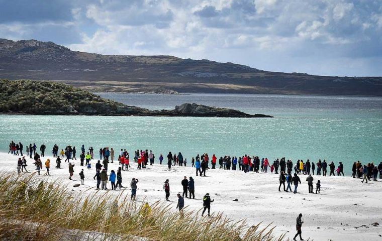 Vista de Yorke Bay, e invasión de humanos cuando se declaró la zona libre de minas en noviembre de 2020