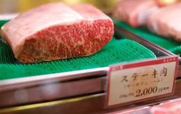 Un equipo japonés llegará a Brasil este mes para inspeccionar los estados de Santa Catarina, Paraná y Rio Grande do Sul, confirmó Fávaro