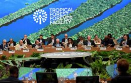 Se espera que el TFFF tenga un impacto transformador en las políticas nacionales de conservación forestal