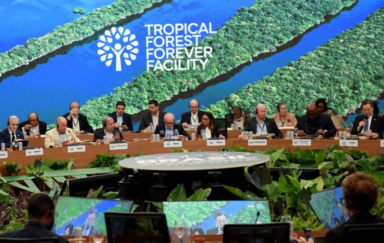 Se espera que el TFFF tenga un impacto transformador en las políticas nacionales de conservación forestal 