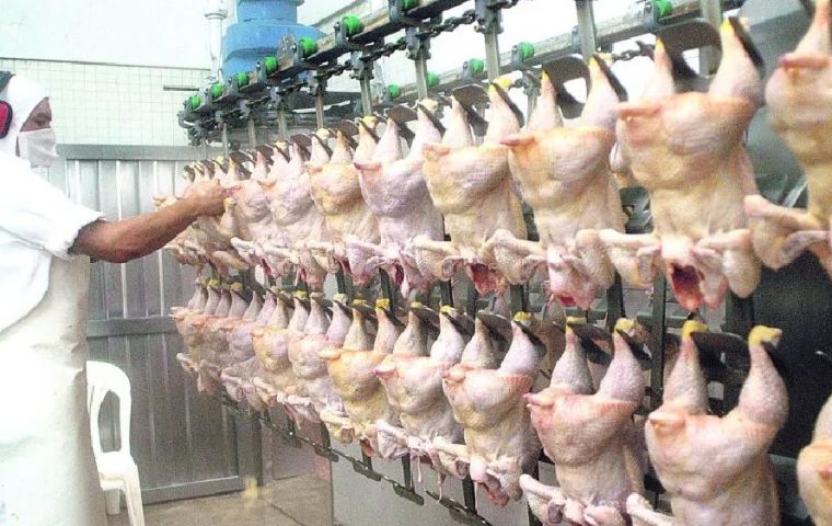 Albania sigue siendo el principal destino de los envíos avícolas paraguayos