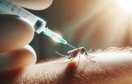 Padilha afirmó que las primeras dosis podrían estar disponibles a partir del próximo mes