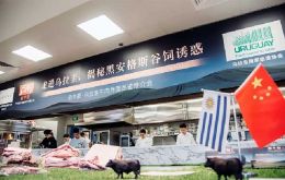 Creo que es una noticia positiva para Uruguay, afirm&oacute; Fratti