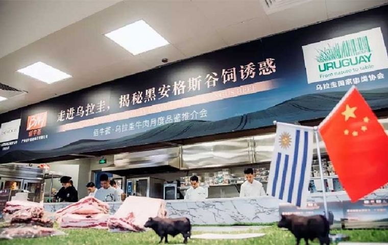 Creo que es una noticia positiva para Uruguay, afirm&oacute; Fratti