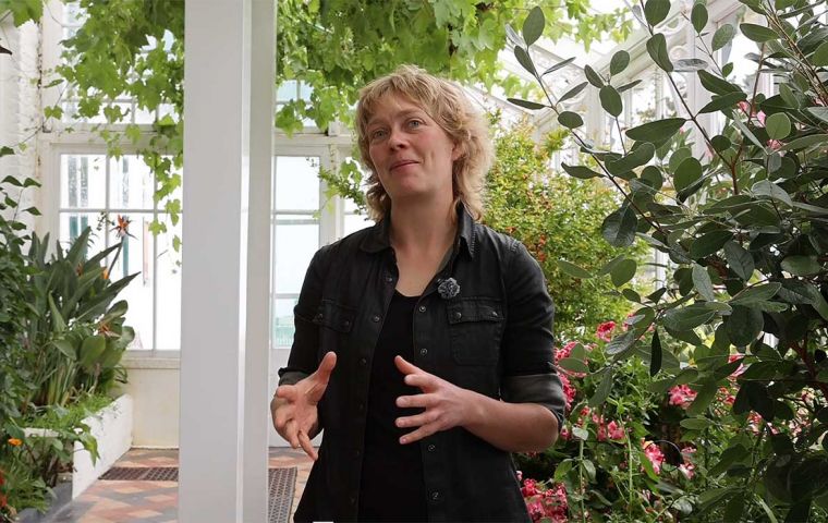 La experta inglesa en vides y plantas en palacios, Hilary Theaker explicando detalles de las parras en Casa de Gobierno de Falklands