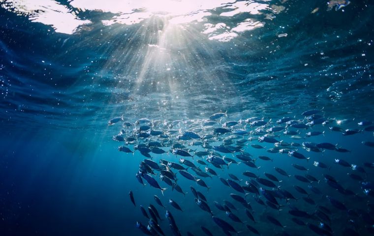 Entre las obligaciones inmediatas, los pa&iacute;ses deber&aacute;n realizar evaluaciones de impacto ambiental para actividades planificadas fuera de jurisdicci&oacute;n nacional