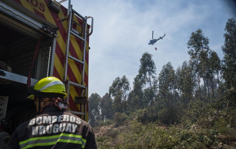 Bomberos combatiendo un incendio en Piri&aacute;polis, Uruguay. Foto: Sebasti&aacute;n Astorga