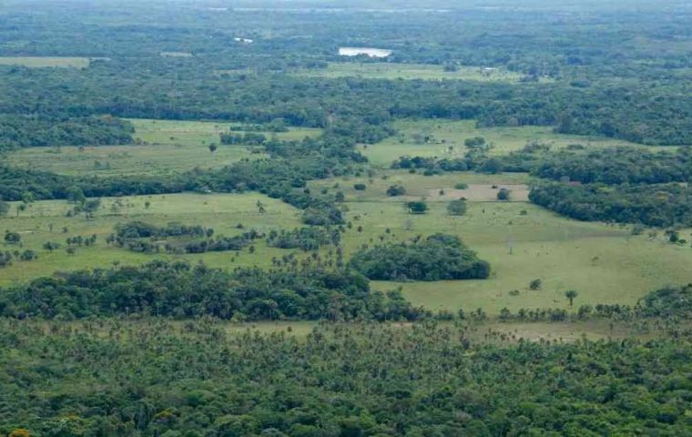  caso se desarrolla en una zona donde comunidades ind&iacute;genas, entre ellas los sikuani, han reclamado tensiones por el uso del territorio y por el impacto ambiental asociado a la expansi&oacute;n agropecuaria