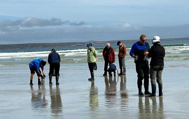 El equipo de investigadores trabajando y recogiendo muestras en playas de Falklands