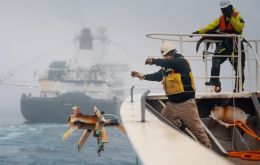 El MV Bandero, buque de la Fundaci&oacute;n Capit&aacute;n Paul Watson