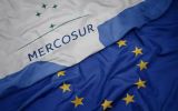 Se prev&eacute; que el EUDR adquiera mayor relevancia en los pr&oacute;ximos a&ntilde;os, ante el acercamiento comercial entre el Mercosur y la Uni&oacute;n Europea.
