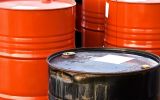 La Agencia Internacional de Energ&iacute;a calific&oacute; la situaci&oacute;n como la mayor disrupci&oacute;n de suministro registrada en la historia