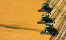 El sector arrocero uruguayo representa hist&oacute;ricamente m&aacute;s del 50% de las exportaciones de arroz del Mercosur