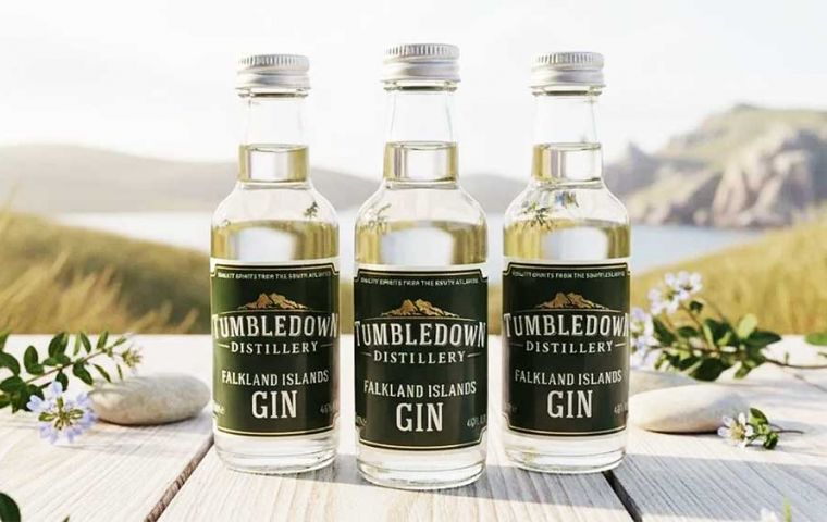 Tras una cata a ciegas por un panel de expertos, el Gin Tumbledown gan&oacute; la medalla de Plata. 
