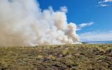 Los incendios en islas aisladas de Falklands, muchos santuarios producen da;os ecol&oacute;gicos y son dif&iacute;ciles de contener