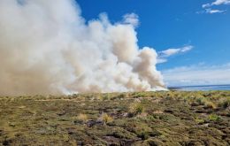 Los incendios en islas aisladas de Falklands, muchos santuarios producen da;os ecol&oacute;gicos y son dif&iacute;ciles de contener