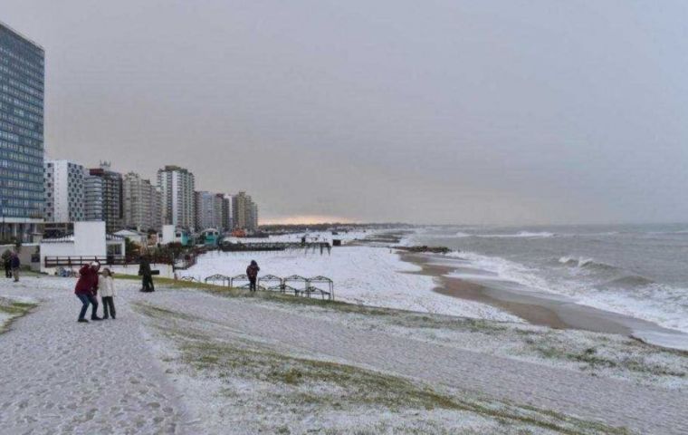 Cientos de vecinos y turistas salieron a las calles para fotografiar las playas, plazas y parques te&ntilde;idos de blanco, y las im&aacute;genes se viralizaron r&aacute;pidamente en las redes sociales