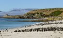 Entre las l&iacute;neas de trabajo figura el primer censo de ping&uuml;ino de penacho amarillo del sur en m&aacute;s de quince a&ntilde;os, que se realizar&aacute; mediante drones e inteligencia artificial