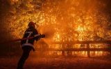 En Francia se han contabilizado m&aacute;s de 160.000 hect&aacute;reas quemadas y unos 13.566 focos en lo que va de temporada, seg&uacute;n cifras oficiales