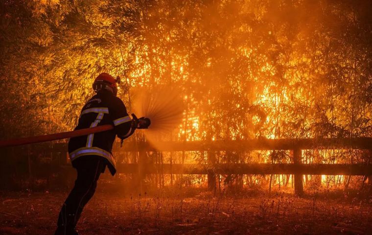 En Francia se han contabilizado m&aacute;s de 160.000 hect&aacute;reas quemadas y unos 13.566 focos en lo que va de temporada, seg&uacute;n cifras oficiales