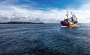 A fines del 2025 Fortuna Ltd adquiri&oacute; Ocean Fish Group, una empresa pesquera y procesadora de Cornwall, Inglaterra 
