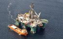 El activo incorporado tiene un costo total de US$ 125 millones y estar&aacute; destinado a la denominada &aacute;rea central de desarrollo (CDA) del yacimiento Sea Lion.