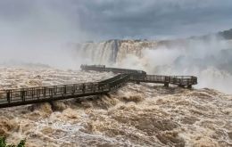 Seg&uacute;n la Prefectura Naval Argentina, el r&iacute;o subi&oacute; algo m&aacute;s de dos metros entre el domingo y el lunes frente a Puerto Iguaz&uacute; y alcanz&oacute; una cota de 24,30 metros, con tendencia en ascenso