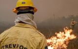 Los incendios coinciden con un episodio de El Ni&ntilde;o que los pron&oacute;sticos sit&uacute;an entre los m&aacute;s intensos de las &uacute;ltimas d&eacute;cadas y que suele asociarse a sequ&iacute;as en la Amazonia