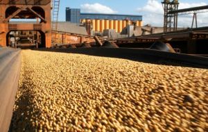 Argentina es el mayor exportador mundial de aceite y harina de soja, y el tercero del poroto de la oleaginosa