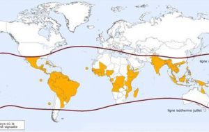 Canadá, Chile (continental) y Uruguay son los únicos países de la región que hasta el momento no han reportado casos de dengue