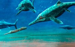 Los ictiosaurios, reptiles marinos, medían cinco metros de largo y vivieron entre el periodo Triásico y el Cretácico